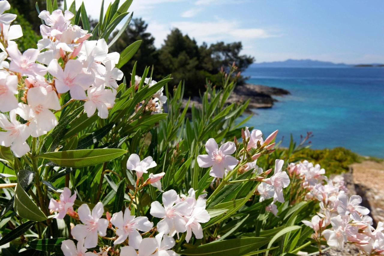 Apartmani Doro Vela Luka Extérieur photo